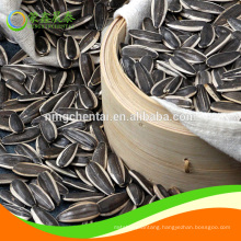 2019 new crop cheap good quality sunflower seeds 363